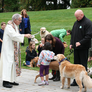 Blessing of pets