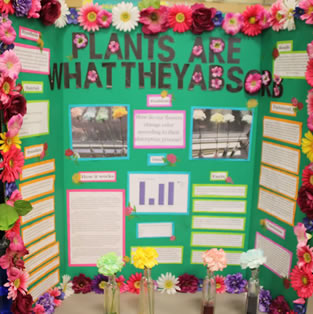 Science Fair